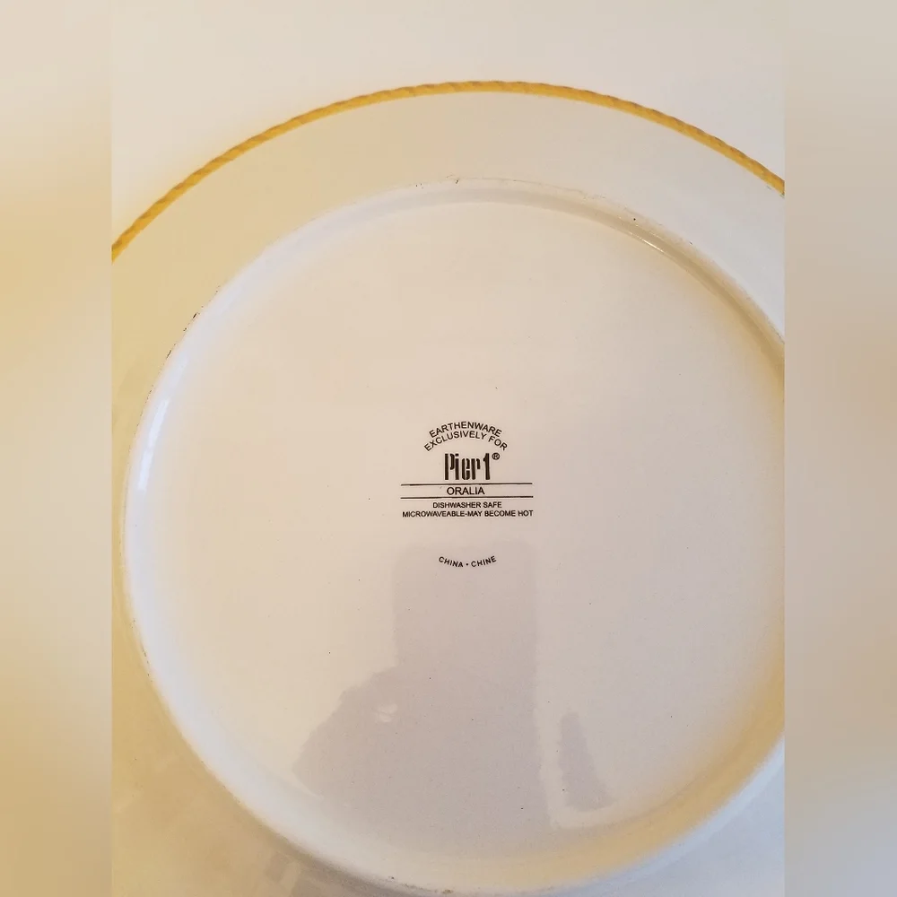 Set of 2 Pier 1 Oralia Earthenware Dinner Plates Floral